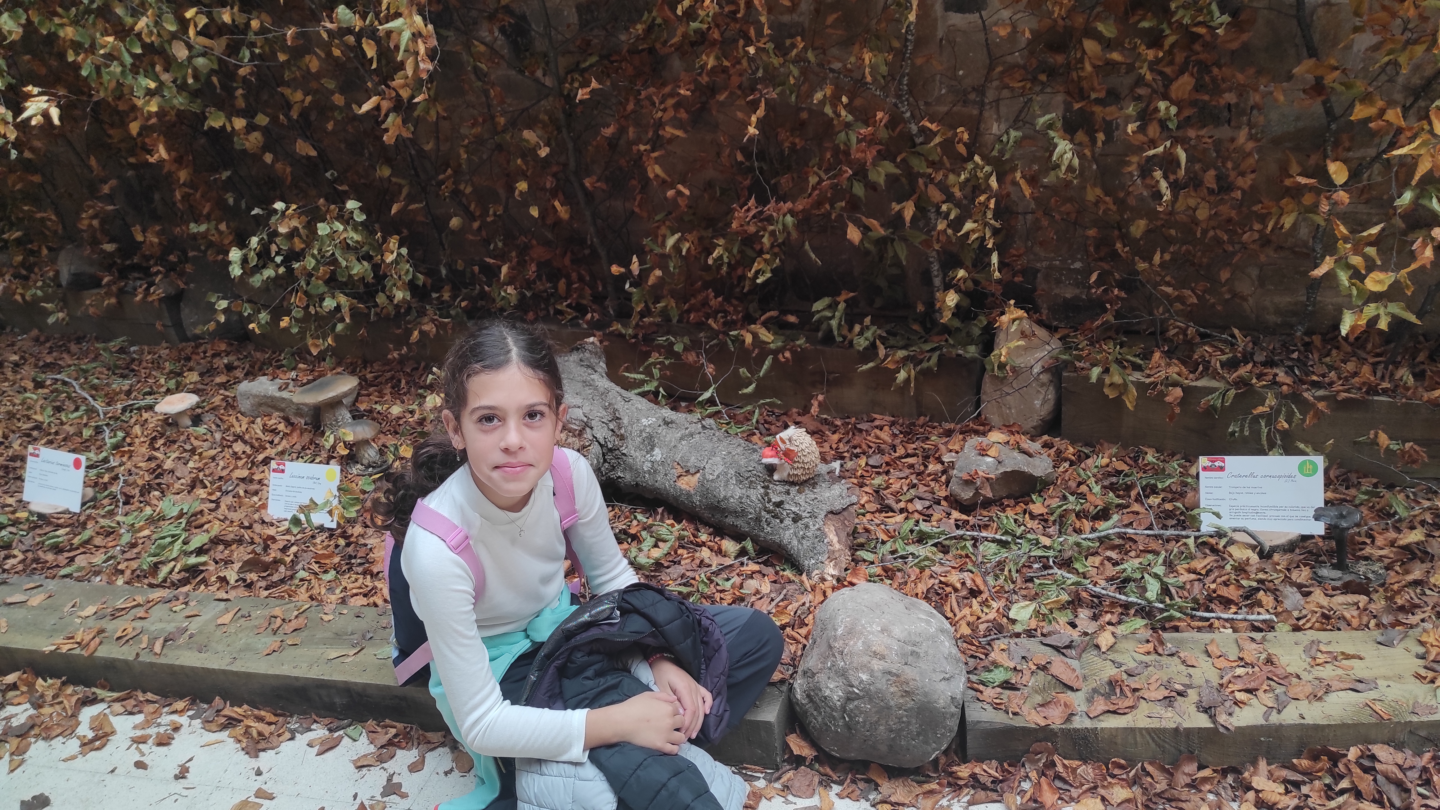 Copia de IMG_20251030_122828.jpg